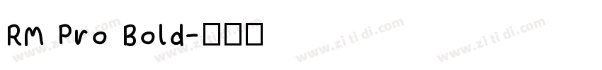 RM Pro Bold字体转换